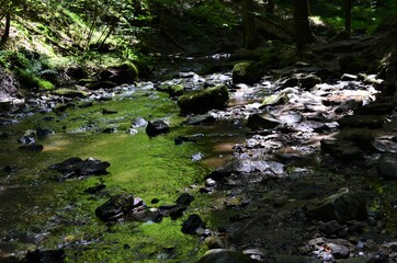 idyllischer Wanderweg