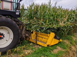 Maishäcksler bei der Ernte im Maisfeld  © vsnyder