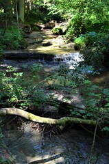 idyllischer Wanderweg