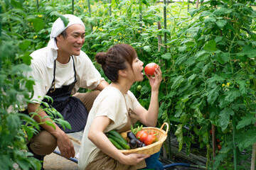 トマトを栽培する男女
