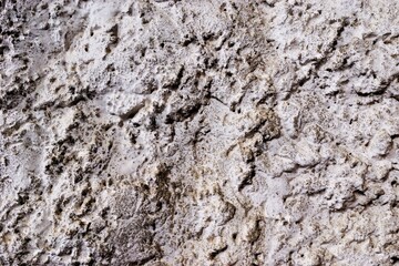 Grey plaster -abstract grunge background. Antique Wallpaper canvas, texture, applicable to design, creativity, literary writing and craft.