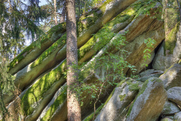 Detail of tilted layered rocks in the Luisenburg rock labyrinth