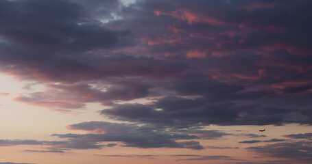 background of clouds on evening sky with bird and landing plane