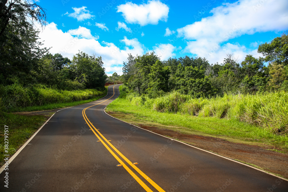 Wall mural waimea canyon drive, kauai, hawaii