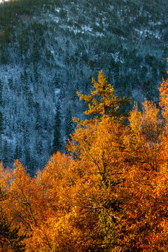 MACEDONIA, GREECE, Warm light and cold snowy mountainside, on the mountainous region of Grevena, near Valia Calda and Samarina village.
