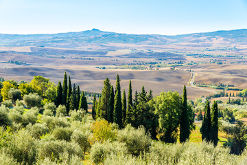 View at the Nature in Valley d Orcia near Pienza - Italy