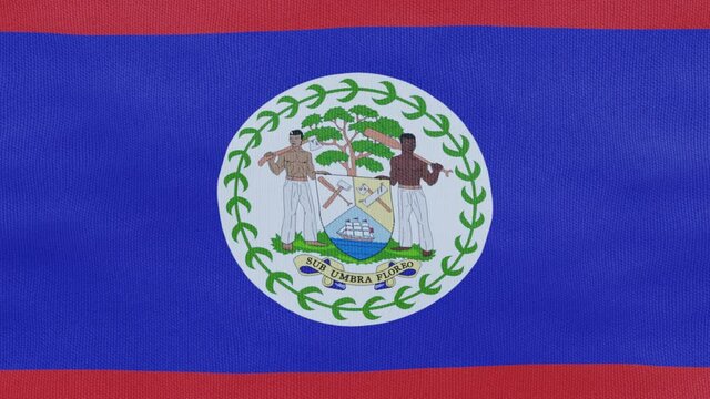 A high-quality footage of 3D Belize flag fabric surface background looping animation