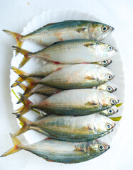 top view of Indian mackerel Fish dish cooking with various ingredients. Fresh raw fish decorated with lemon slices and tomato slice and curry leaves on a white plate,white background.Selective Focus.