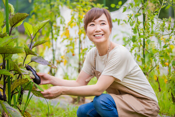 ナスを栽培する女性
