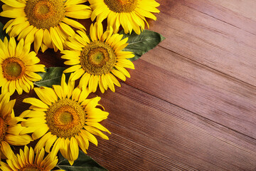 Beautiful bright sunflowers on wooden background, flat lay. Space for text