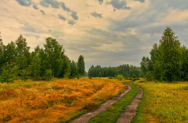 A scenic road that runs through meadows and along the forest. Countryside. Hiking.