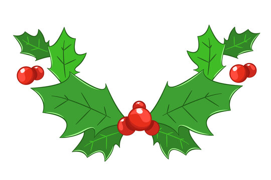 Green leaves and red berries of holly for frames and decoration, vector image. Christmas symbol