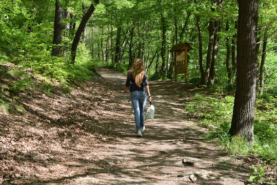 Familienausflug im Wald. Frau geht spazieren mit Babytrage.