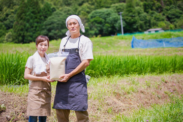 お米と農家
