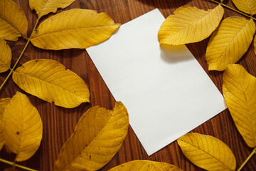 Yellow autumn leaves and blank paper with space for text, on wooden background. Autumn background composition.