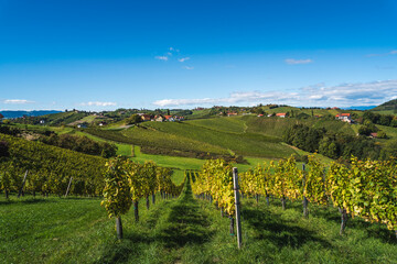 Fototapeta na wymiar View from famous south styrian wine street. Ratsch, Austria tourism.