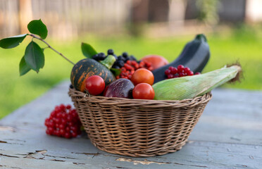 Composition of fresh vegetables in a basket on a wooden background in the sunlight. Autumn harvest. Happy Thanksgiving.