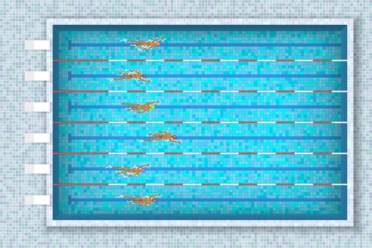 Pool with blue water and swimming people. Top view. Olympic swimming pool with clean transparent blue water. Bird eye view of blue swimming pool with swimmers and starting platform. 