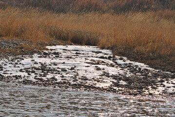 
autumn river with snow
