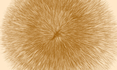 Fototapeta premium 動物毛