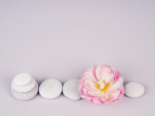 Spa still life with zen stones and flower, Harmony and balance, cairns, simple poise stones on gray background, rock zen sculpture