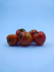 tomatoes on a white background