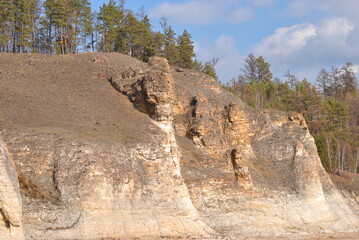 Obraz premium forest on the mountain