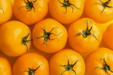 Many ripe yellow tomatoes as background, closeup