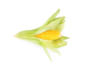 Ripe raw corn cob with husk isolated on white