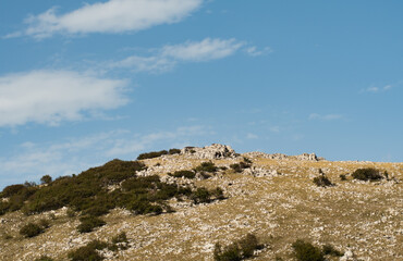 Scenic karst landscape on the Velebit mountain. Rocky hill top overgrown in coniferous vegetation.