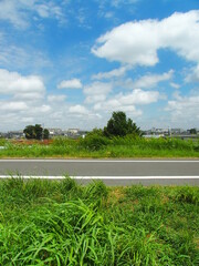夏草生える江戸川土手のサイクリング道路風景