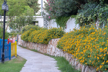 Spring landscape with colorful flowers