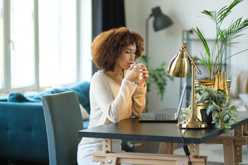 African-American female working in her office. Freelancer sitting at the laptop in her home office. business female lady technology