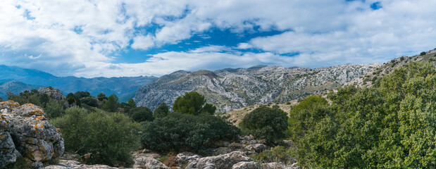 Sierra de las Nieves National Park, Málaga, Andalusia, Spain, Europe