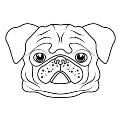 Pug Dog Head Line Art Pug Canine Doggie Toy Dog Vector Illustration Print Isolated on White Background