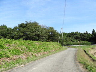 Fototapeta na wymiar 秋の農村風景