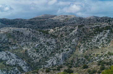 Sierra de las Nieves National Park, Málaga, Andalusia, Spain, Europe