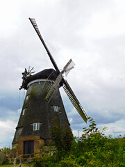 Fototapeta na wymiar Die Holländermühle auf dem Mühlenberg