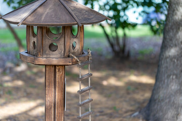 Wooden feeder for squirrels