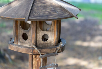 Wooden feeder for squirrels
