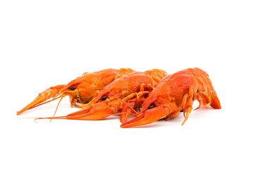 Boiled Fresh Crayfish,Crawfish,  isolated on white background
