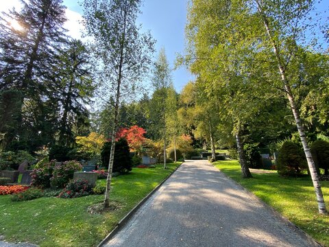 Park at the cemetery Fluntern or Graveyard / Der Friedhof Fluntern, Z&uuml;richberg (Zuerichberg) district - Z&uuml;rich (Zuerich or Zurich), Switzerland / Schweiz
