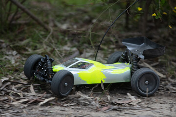 Radio Controlled Car In Action