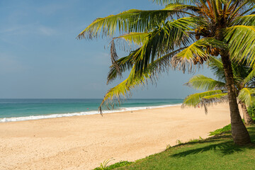 Obraz na płótnie Canvas Tropical ocean beach with palm tree, Sri Lanka
