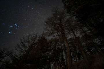 Fototapeta premium starry night sky