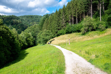 gravel path on a mountain slope in the black forest with fir woods in the background
