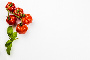 tomatoes and basil on white background