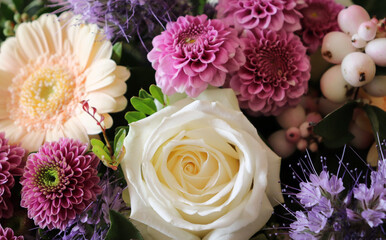 beautiful colorful bunch of flowers