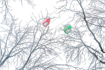 Colored cabins on the cable car against the background of the sky and snow-covered tree branches during a snowfall in winter