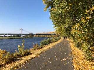 biking trail, autumn, river and bridge